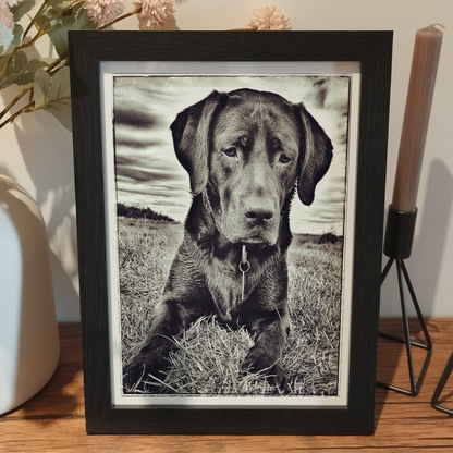 Print and Frame Any Image, Document or Certificate | High Quality Professional Prints | A4 A3 Printing Service | Custom Framed Photo Print